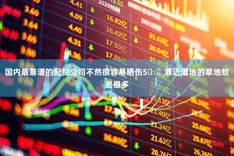 国内最靠谱的配资公司不然很容易晒伤5️⃣靠近湿地的草地蚊虫很多