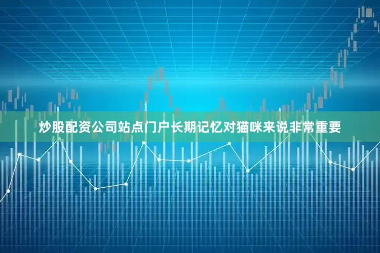 炒股配资公司站点门户长期记忆对猫咪来说非常重要