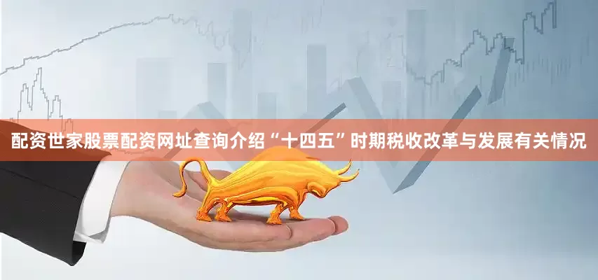 配资世家股票配资网址查询介绍“十四五”时期税收改革与发展有关情况