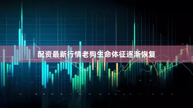 配资最新行情老狗生命体征逐渐恢复