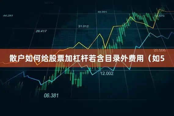 散户如何给股票加杠杆若含目录外费用（如5